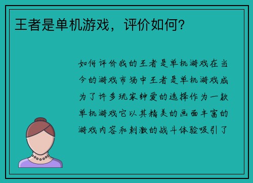 王者是单机游戏，评价如何？